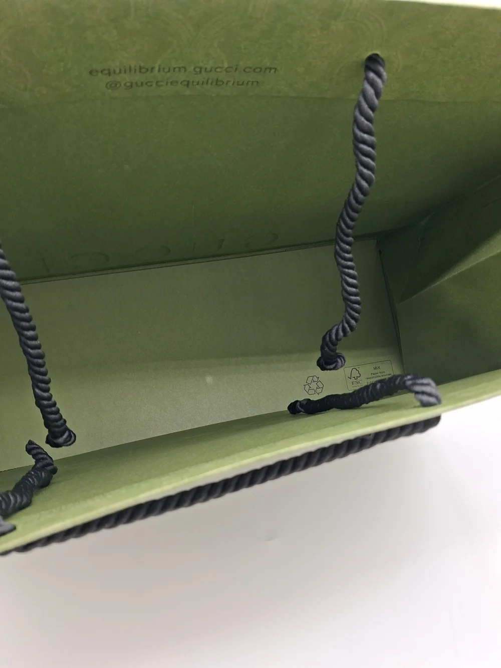 GUCCI Equilibrium Green Large Shopping Gift Bag Rope Handles 19